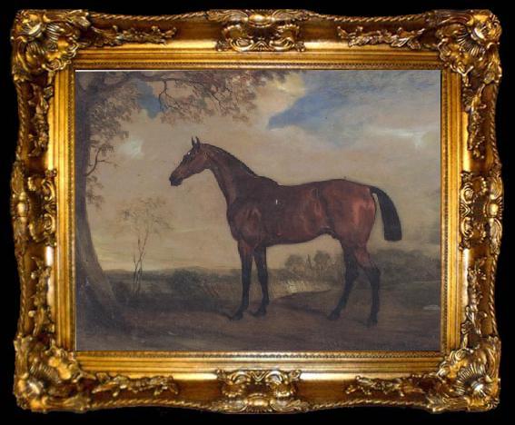 framed  John Ferneley Portrait of a Hunter Mare,The Property of Robert shafto of whitworth park,durham, ta009-2